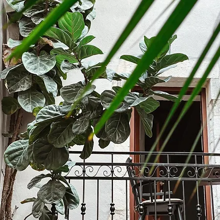 Casa Dei Delfini レティムノ